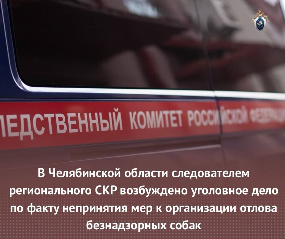 � ����������� ������� ������������ ������������� ��� ���������� ��������� ���� �� ����� ���������� ��� � ����������� ������ ������������ �����