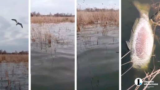 ��������� �������� ������� ������ ���� �� ����� �������� � ��������� ������