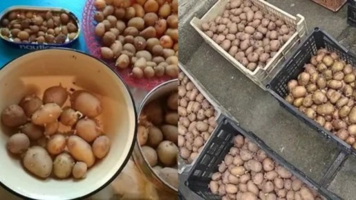 ������� ���������� ��������� ���������: ��� �������� ��������� ������