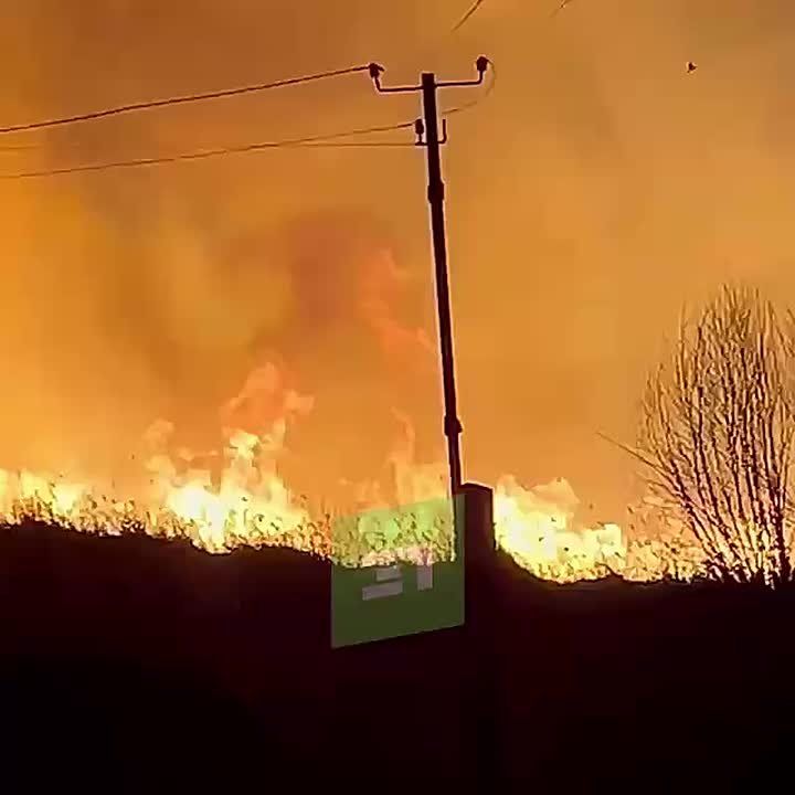 ������ ���� ����� �����. ����� �������