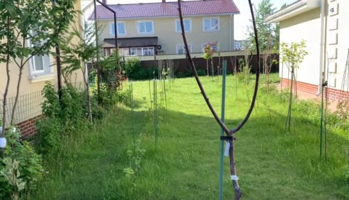 ������������� ������ ��� ��������� �������: 5 �������� ������ �� ��� �������� ��������