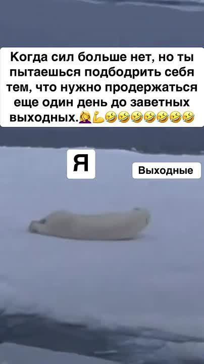 #������������31. ���� ������� � �������� ����� � ������� � �� ��������� ��� ������ � ������������ ��������