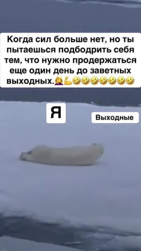 #������������31. ���� ������� � �������� ����� � ������� � �� ��������� ��� ������ � ������������ ��������