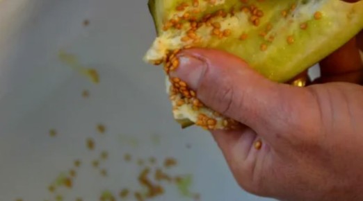 ��� ��������� ����������� ������ �������� � ������: ���� � �������� ������������