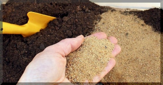 ��� ����� �������� � ����������� �������: ������� ��������� �����������