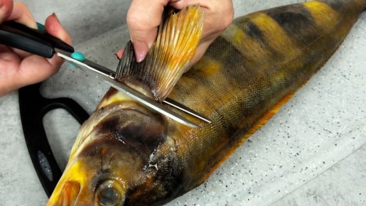 ��� ������ ���� � �������: ������� � ������� ����� � ��������