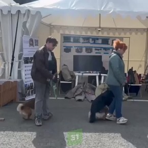 �� �������� ����� �������� ���� ��������, ���� �������