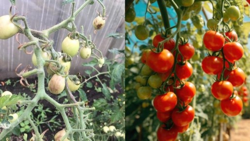 ������ � �������: ��� ������� �����, ������� �� ��������