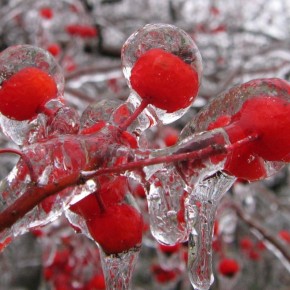 ���� ������������: ��� �������� ��� �� �������� �����