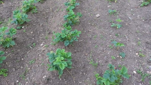 �������� � ����� ����: ������� �������� ���������� � ���� � ������� ������