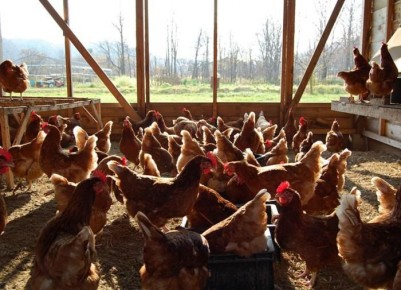 ������� �������: ����� � ��� ������ ���������� �� ����