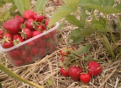 ������ ������ �� ������ � ������� ����� ���������: ��� ������ �������