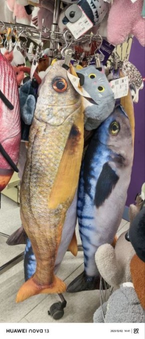 ���� ����� � ��� ������� ���������� �������� � ������� �����