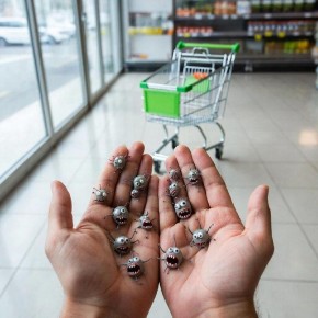 ����� ���� ���� ����� ��������� ��������: ������ �����