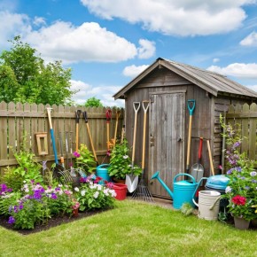 ������� ��������� ��������������: ��� �������� ���������������� ������ ��������