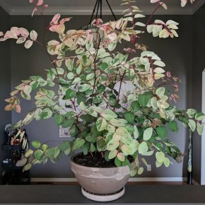 ���� �� �������� � �� �����������