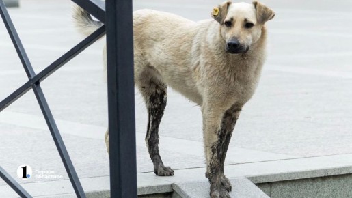 ��������� ����� �� ����� � ������ � ���������� ������� � ��������� �����