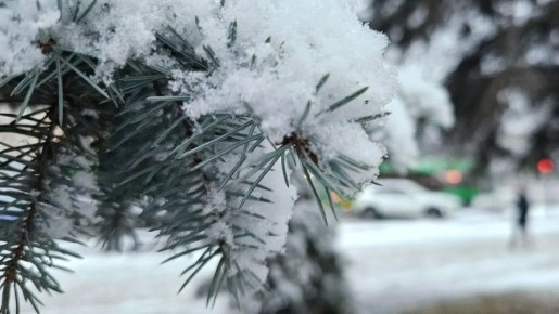 ������ ���� ��������� � ����������� �������