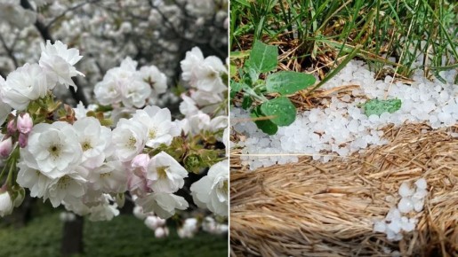 ��������� ���������� � ������ � ���������� � ���