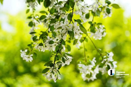 � ���������� ��� �� ��� ������������ ���������� ���������� �� ������