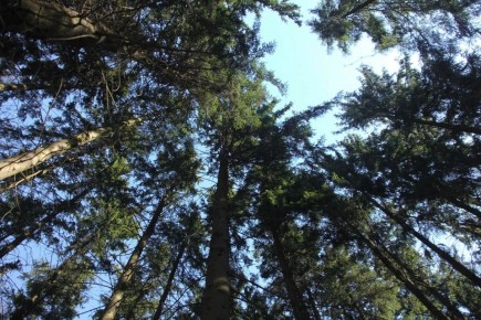 � ���������� �� ������� ��������� ������, � ������� ������ ������������ ���������������� ����� �������� ��� ��������