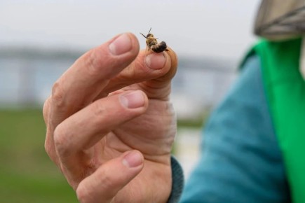 �� ����� ����� ��������� ���� �������