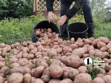 �� ����� ������� ����� ���������, ��������������� � ������� ����������� �������