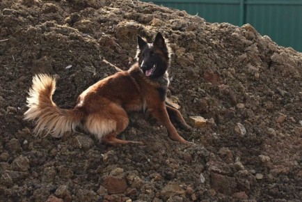 ������ ������ �� 13-������ ������� � �� ������� �� ����� � ����������