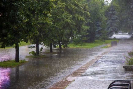 ��� � ����������� ������� �������� � ������� ������