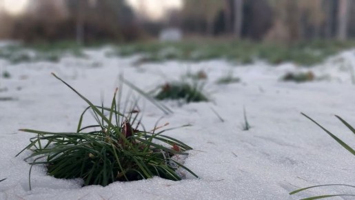 ������ ���� ������������ ��������� � ����������� �������