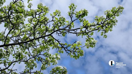 ����� ������ ���� ������� ����������� ������� �� ������� ���������