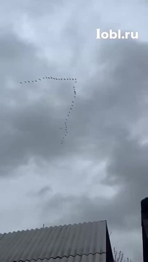 ������ ���� ����� � ������������ ������