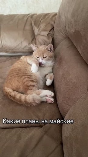 #������������31. ���� ��� �� ������, ���� ������� �� �������, ��� ��� ������� ���� ��� ��������� ��� �������� ���������� � ���������� ��� �������