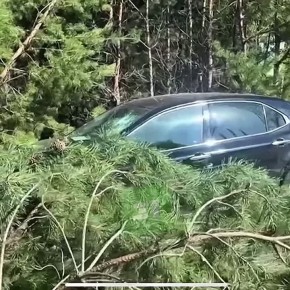 ������� �� ������������ ����