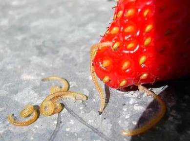 ��������: ��� ���������� � �������� ���������� ����� ������