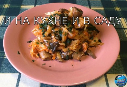 ������� ������� � �������: ������� � ������� ������
