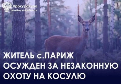 ���������� �������� ����� ��������� ������� � 1 ������������� ������ ������ �. ����� ������� �������� � ���������� ������������ ���������������� �. �� �. 1 ��. 258 �� (���������� �����, ����������� � �����������...