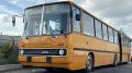 Праздничные туры по городу на автобусах-"гармошках" устроят в Челябинске