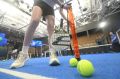 ������ � ����� ������� ��� ���� � ����� ������� �� �������� ��������� ������ � ����������
