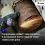 � ���������� �� ����� ������ �������� ������� ���� � ������ ����� � ������� ����� �������� ����������