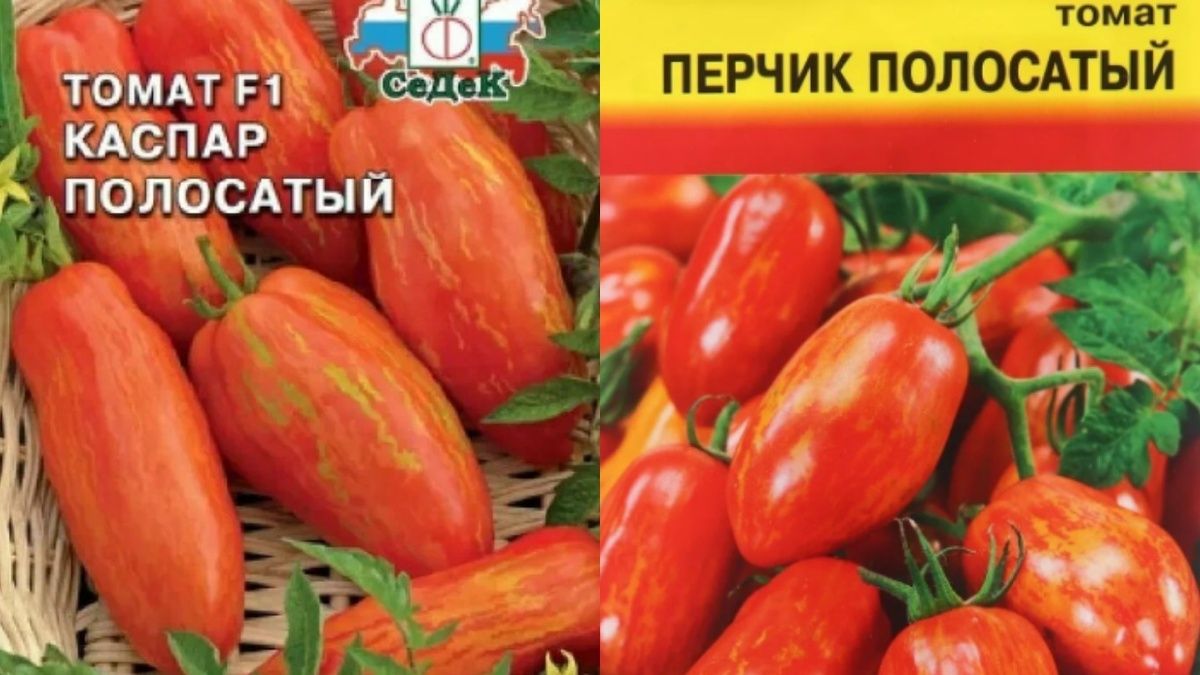 Семена полосатых томатов: секреты успешного урожая, которые стоит узнать