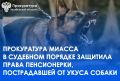 ����������� ������ � �������� ������� �������� ����� �����������, ������������ �� ����� ������