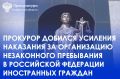 ���������� ������������������ ��������� ���� �. ������������� 45-������ ������� ������ ������� �� ��. 1 ��. 322.1 �� �� (����������� ���������� ��������) � 1 ���� 6 ������� ������� ������� � ���������� � �������-���������