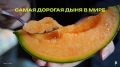 Юбари Кинг: дыня, которая может позволить себе только богатые