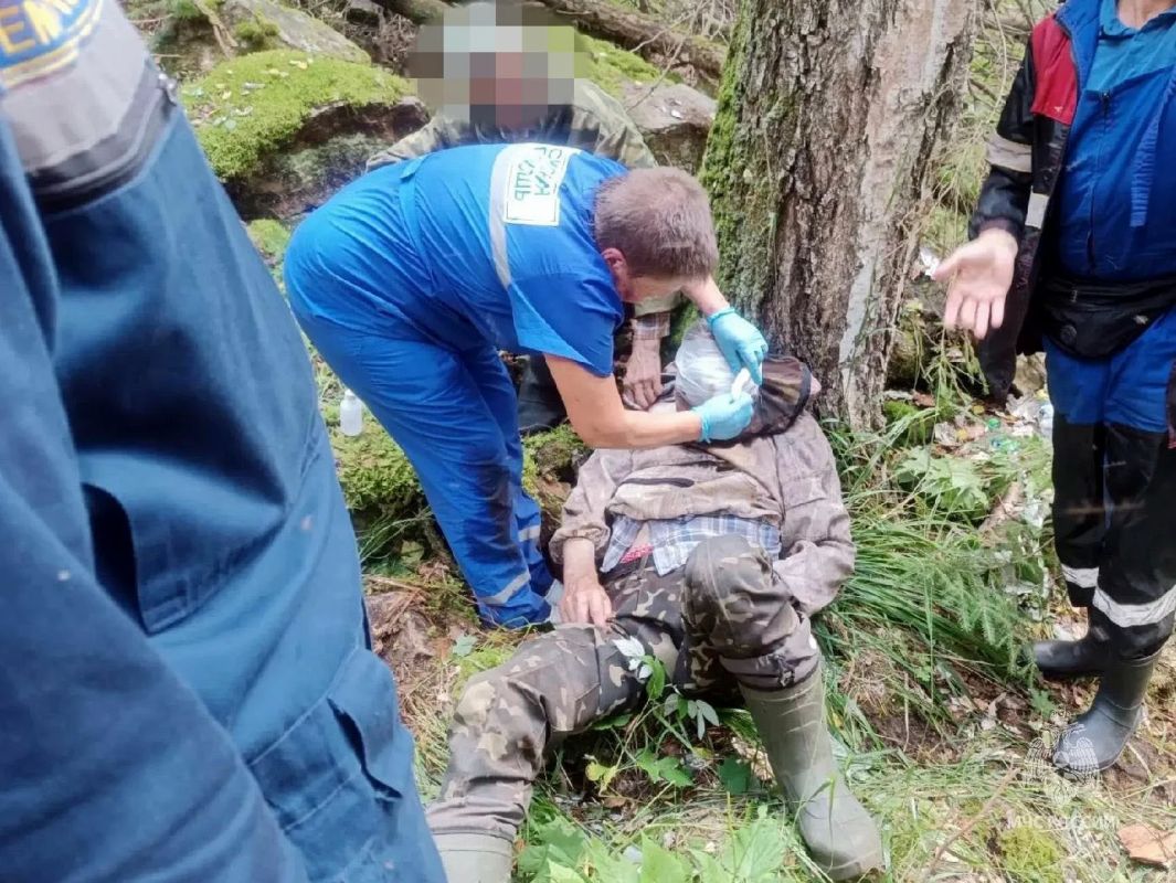 Поход за черникой закончился спасательной операцией