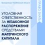 В соответствии с законодательством Российской Федерации материнский капитал выделяется из средств государственного бюджета семьям с одним, двумя или большим числом детей в зависимости от даты рождения ребенка