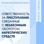 Учитывая угрозу, которую наркотики несут здоровью нации и общественной безопасности, российское законодательство предусматривает жесткие меры наказания - вплоть до пожизненного лишения свободы