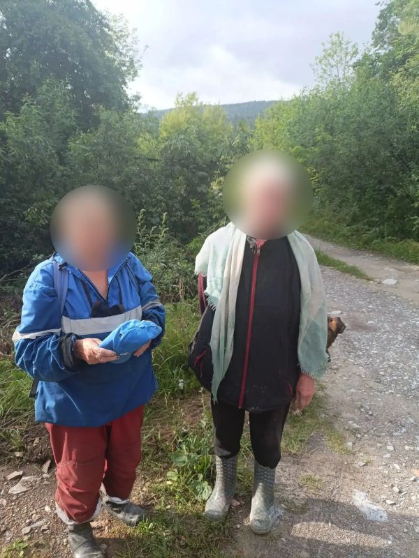 В Ашинском районе найдены заблудившиеся в лесу местные жительницы