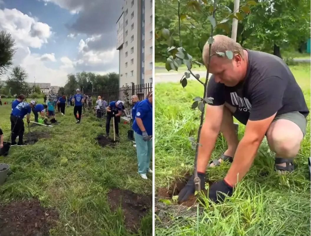 Яблони в память о героях СВО высадили в центре Челябинска