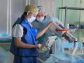 До –180°C: врачи в Челябинске заморозили опухоль пациенту
